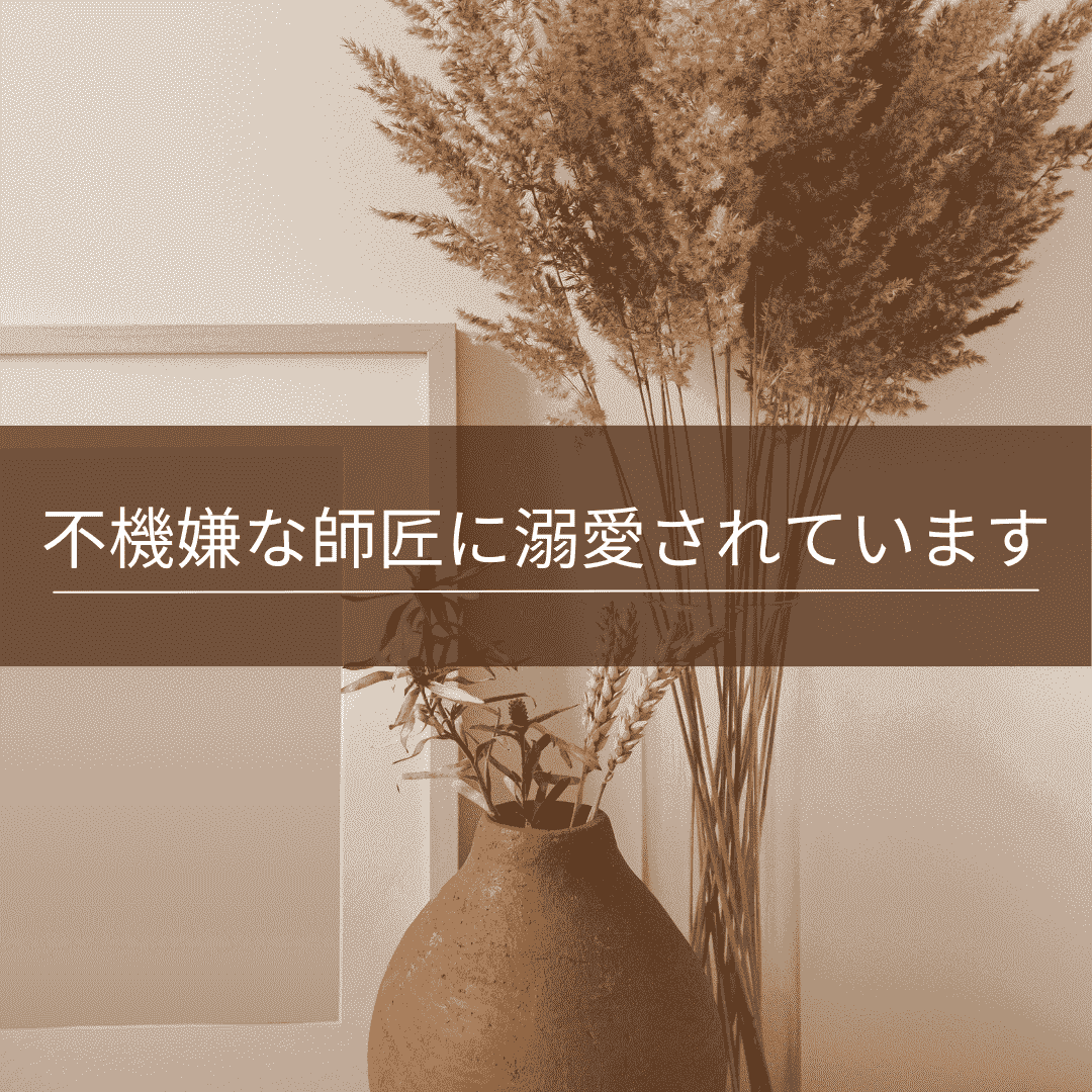 不機嫌な師匠に溺愛されています